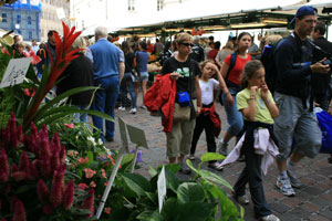 Zentrum