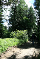 Seiseralm Seiseralm