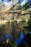 Moorsee