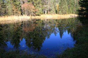 Moorsee