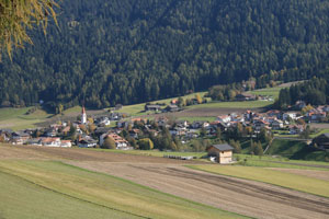 Rasen