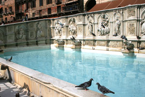 Brunnen