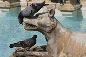 Brunnen