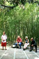 Im Botanischen Garten Im Botanischen Garten