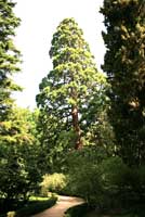 Im Botanischen Garten Im Botanischen Garten
