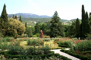 Im Botanischen Garten