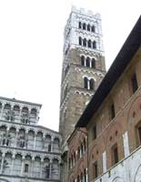 martino