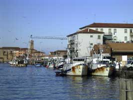 chioggia