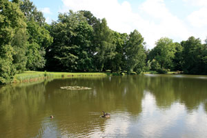 Schloss Wiesenburg