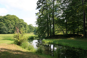 cottbus