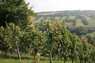laudenbach