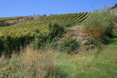laudenbach