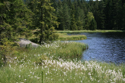 fichtelgebirge