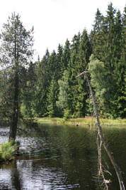 fichtelgebirge