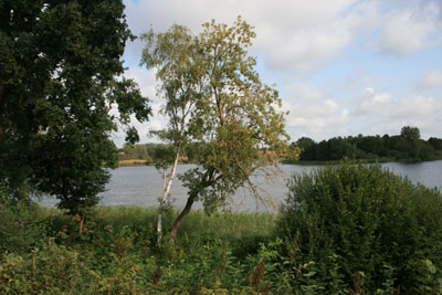 luckower_see