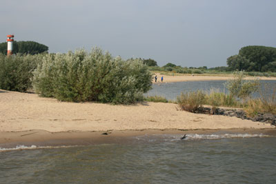 krautsand