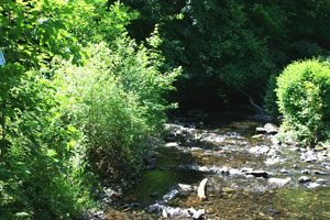 monschau