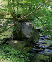 monschau