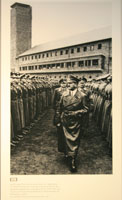 vogelsang