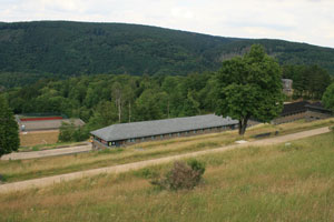 vogelsang