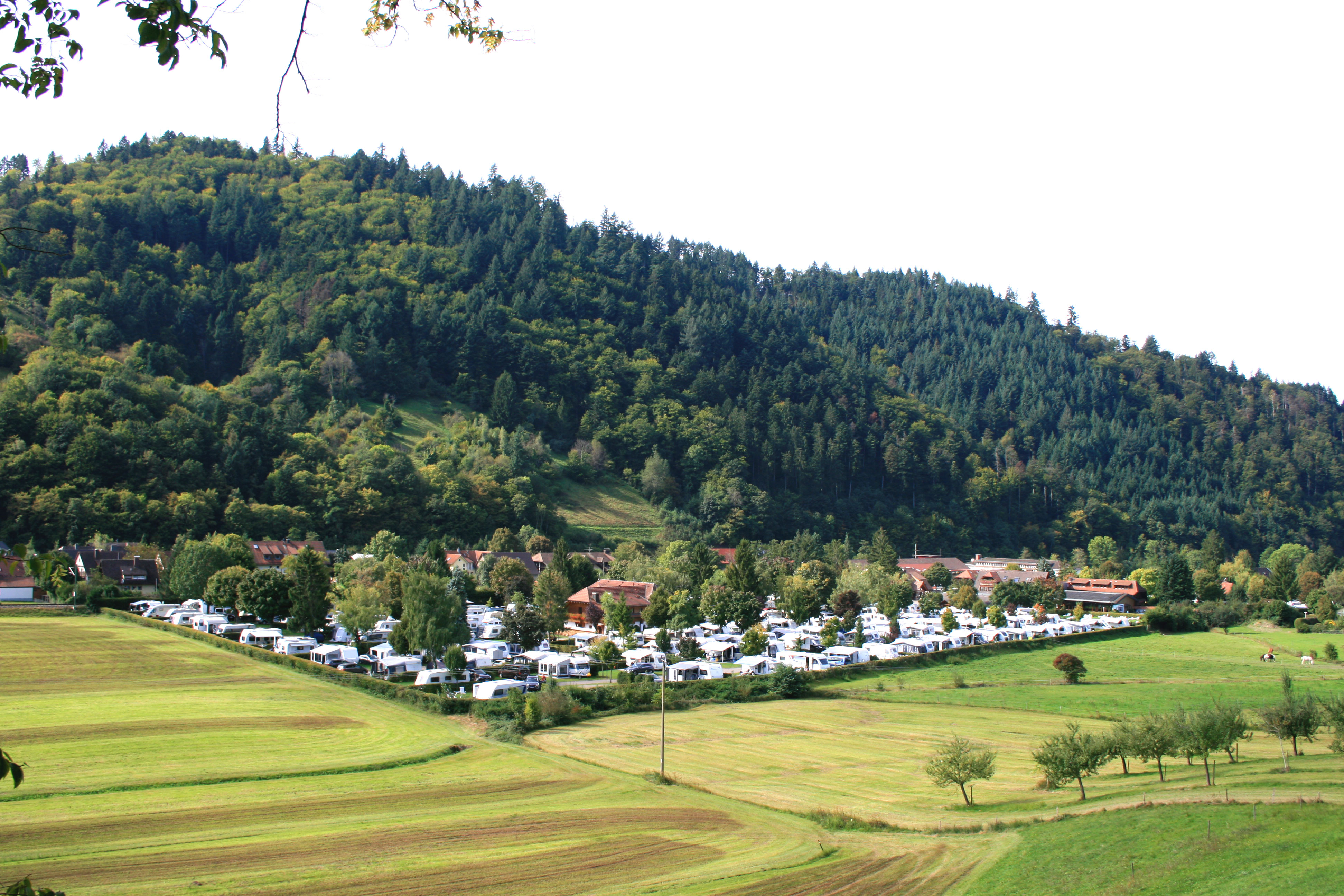 muenstertal