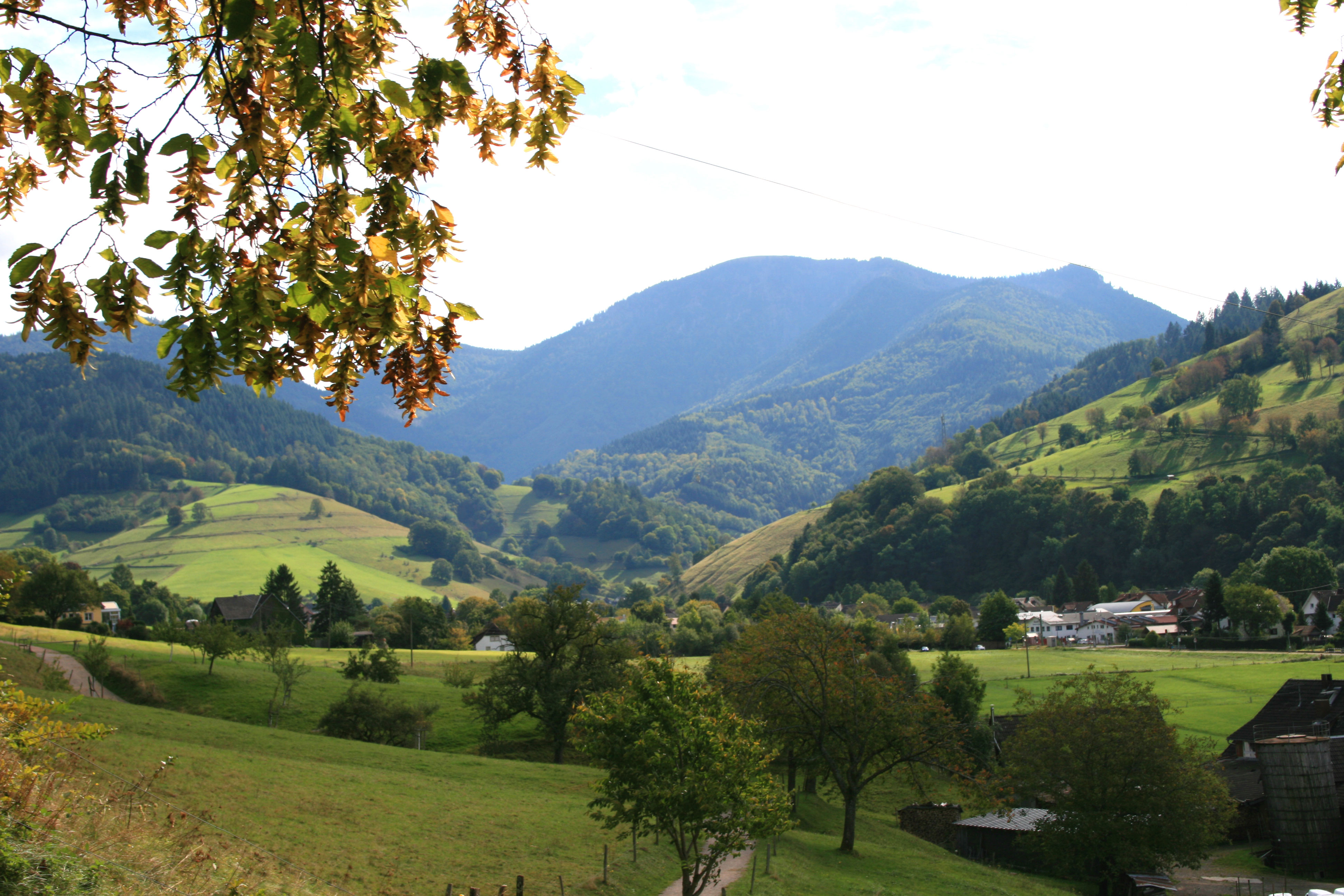 muenstertal