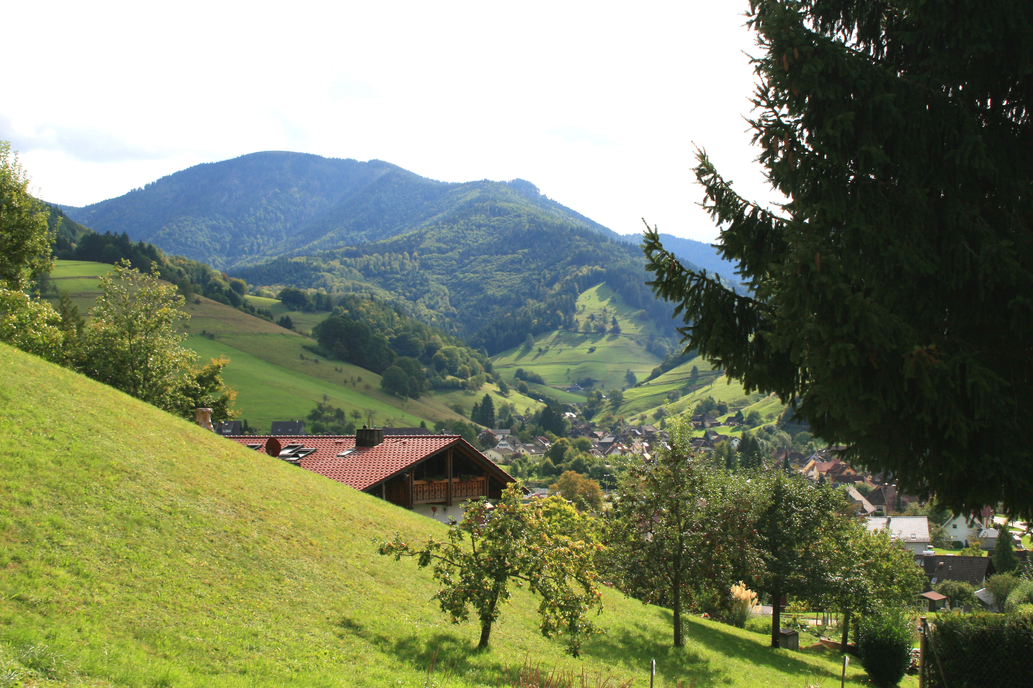 muenstertal