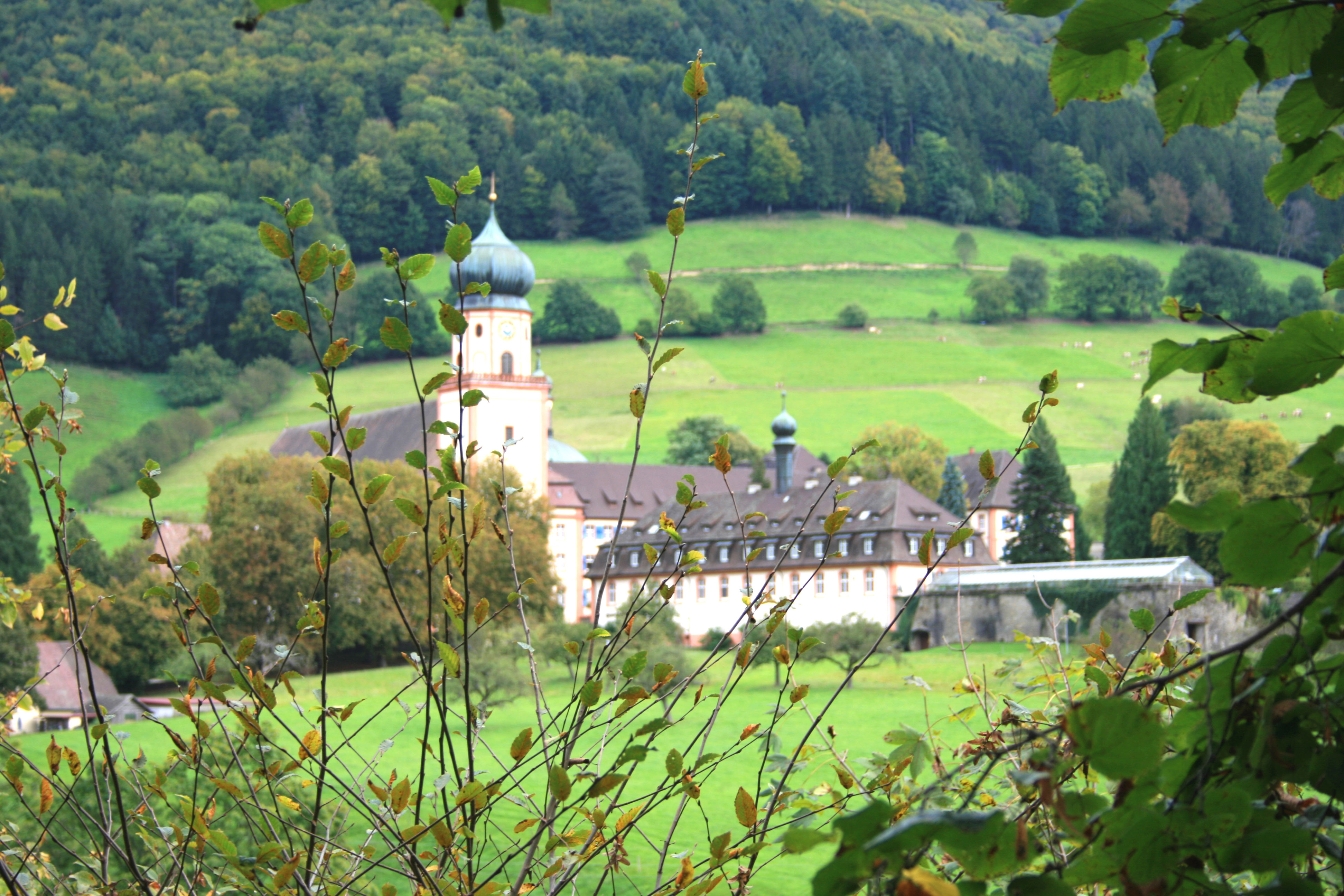 st._trudpert
