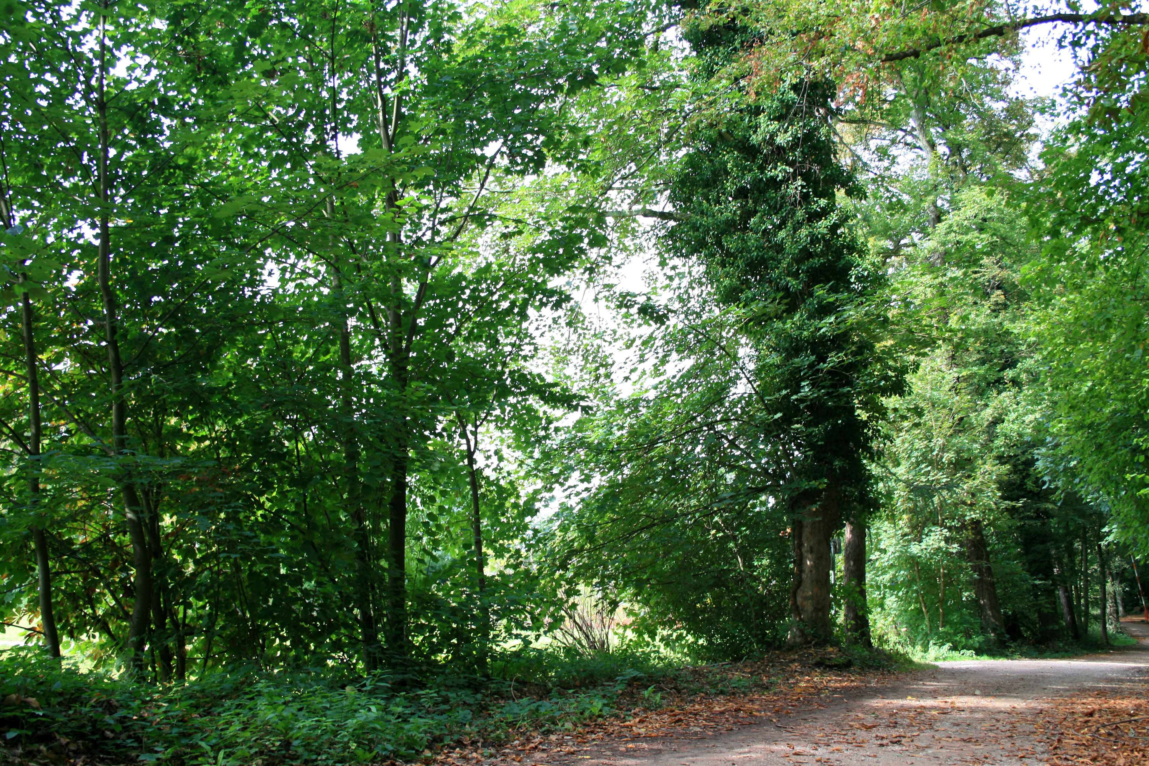 richtung_staufen