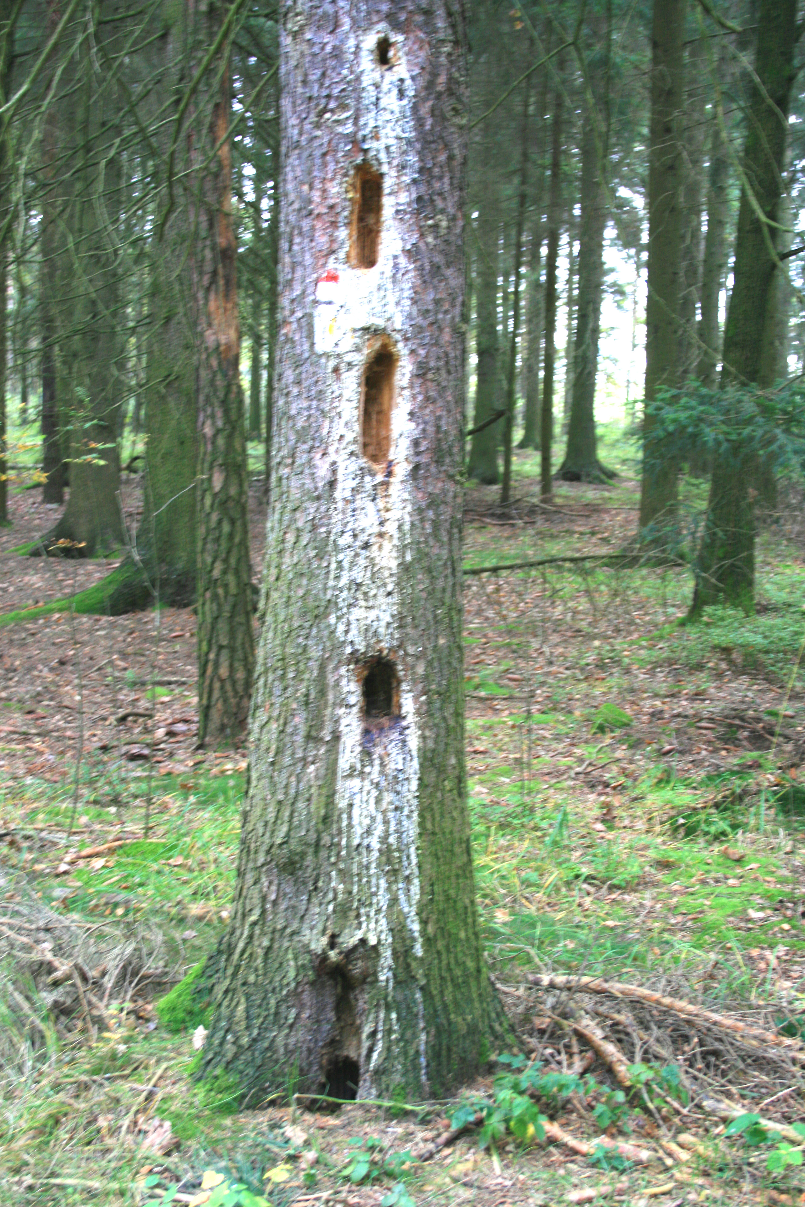 Kleinrhrsdorf