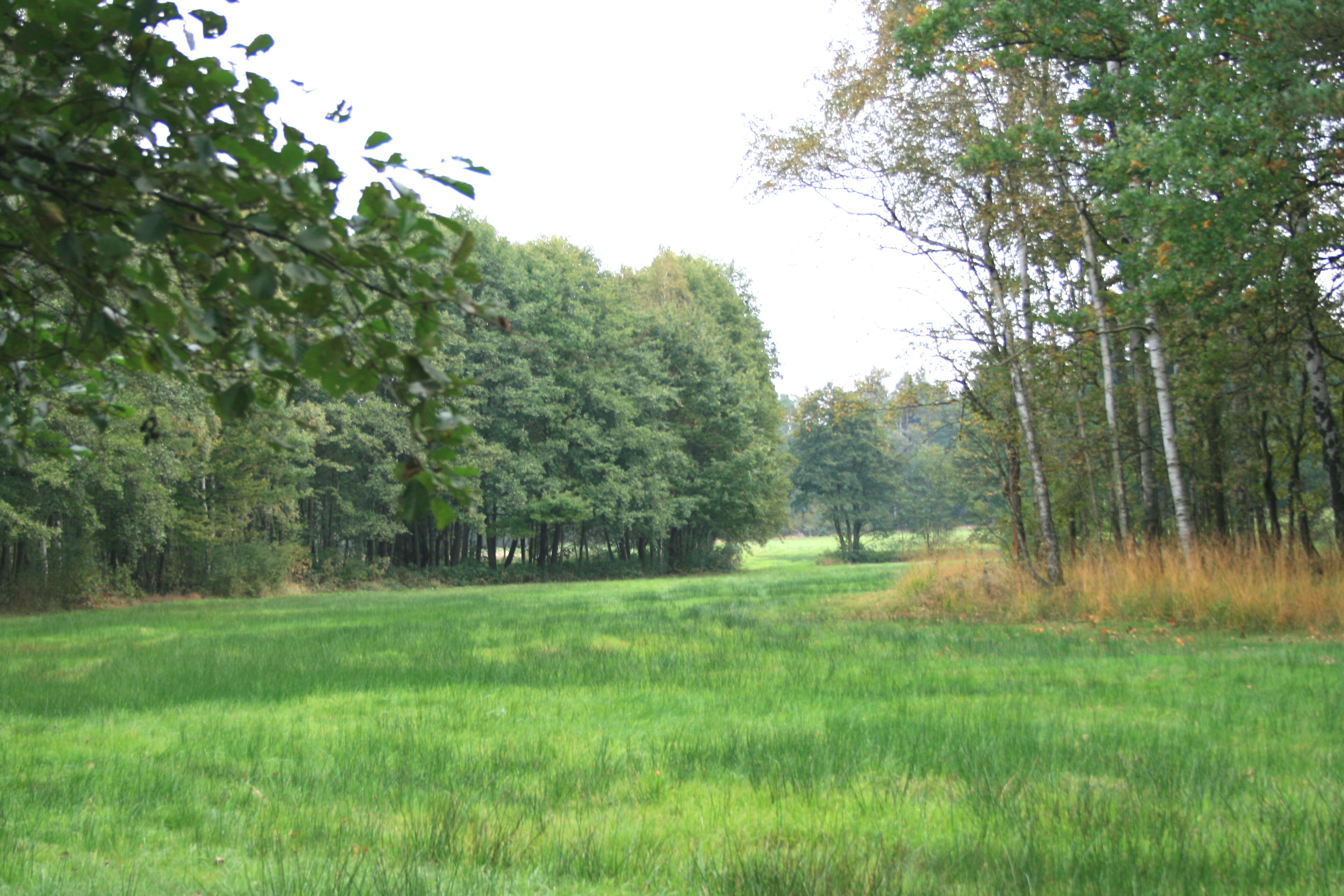 Kleinrhrsdorf