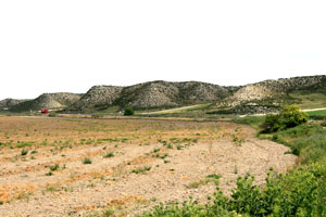 aragn