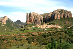 aragn
