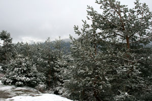 Segovia