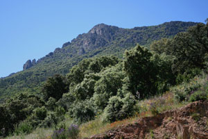La Mancha