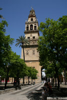 Cordoba