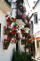 Cordoba