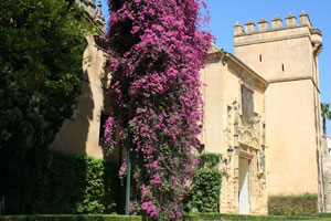 Sevilla