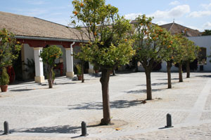 Jerez