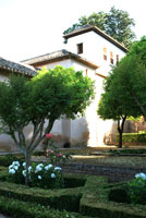 Granada