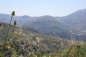 sierra_nevada