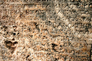 delphi