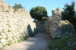 troja