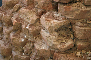 troja