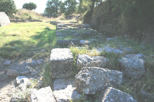 Palasthaus troja