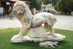 aphrodisias