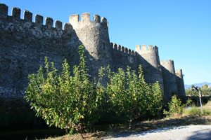 anamur