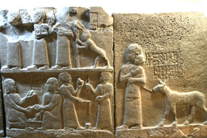 Museum ankara