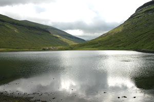 saksuntal