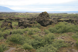 dimmuborgir